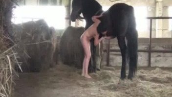 Hard sex of a charming lady and a muscular horse