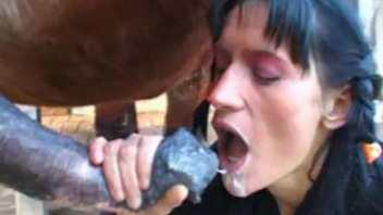 This slut swallows a horse cock very deeply