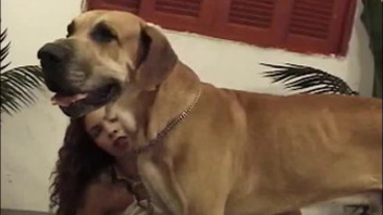 This dog loves it when girls suck his dick