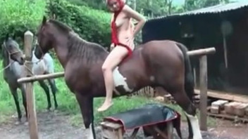 Lustful bitch enjoys sex games with horses