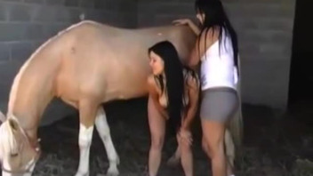 Incredible zoophile porn with sexy brunette and lustful horse