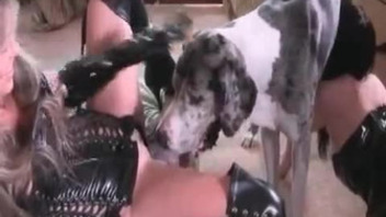 Two sluts playing with a handsome dog's dick