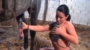 Pretty woman fondles a huge horse cock