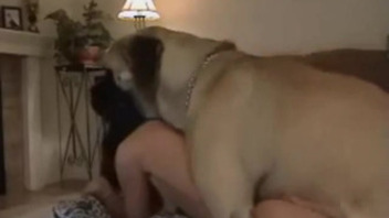 A giant dog fucked a glamorous lady