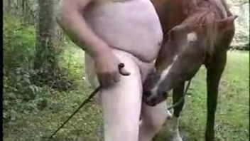 Fat zoophile enjoys blowjob from slender horse